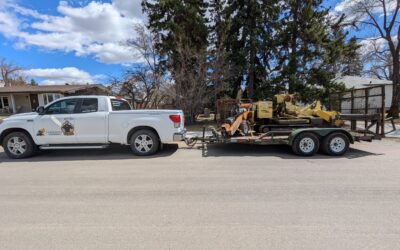 Why Cheap Stump Grinding Can Cost You More.